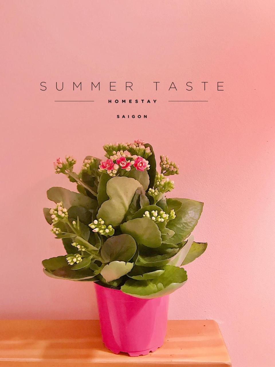 Summer Taste Homestay Bandar Ho Chi Minh Luaran gambar